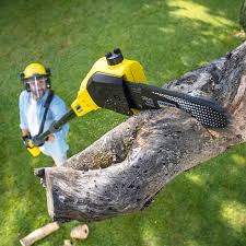 Best Lawn Mowing Services  in Spring Grove, PA